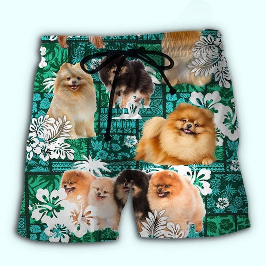 Pomeranian Tropical Paradise Dog Lover Beach Shorts Design View For Poolside Relaxation And Holiday Trips