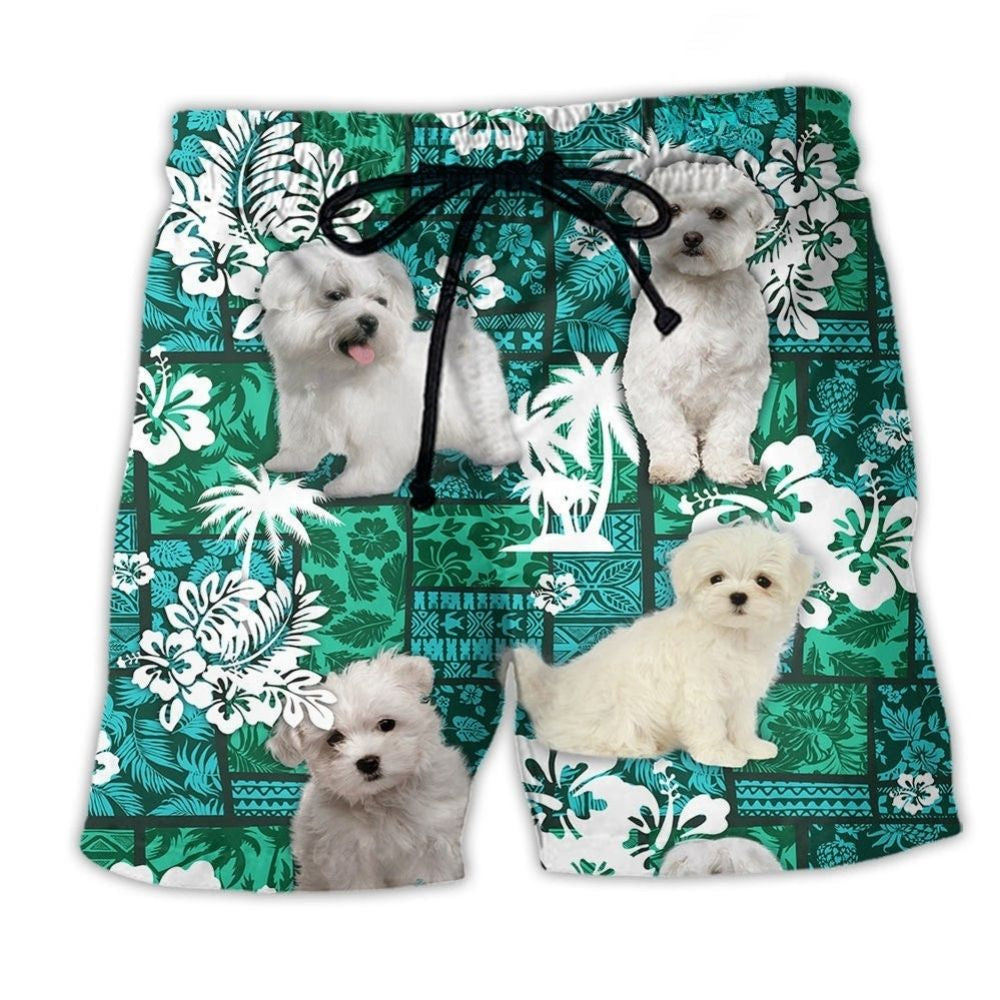 Maltese Dog Tropical Leaf Cute Beach Shorts Pattern View For Resort Days And Outdoor Activities