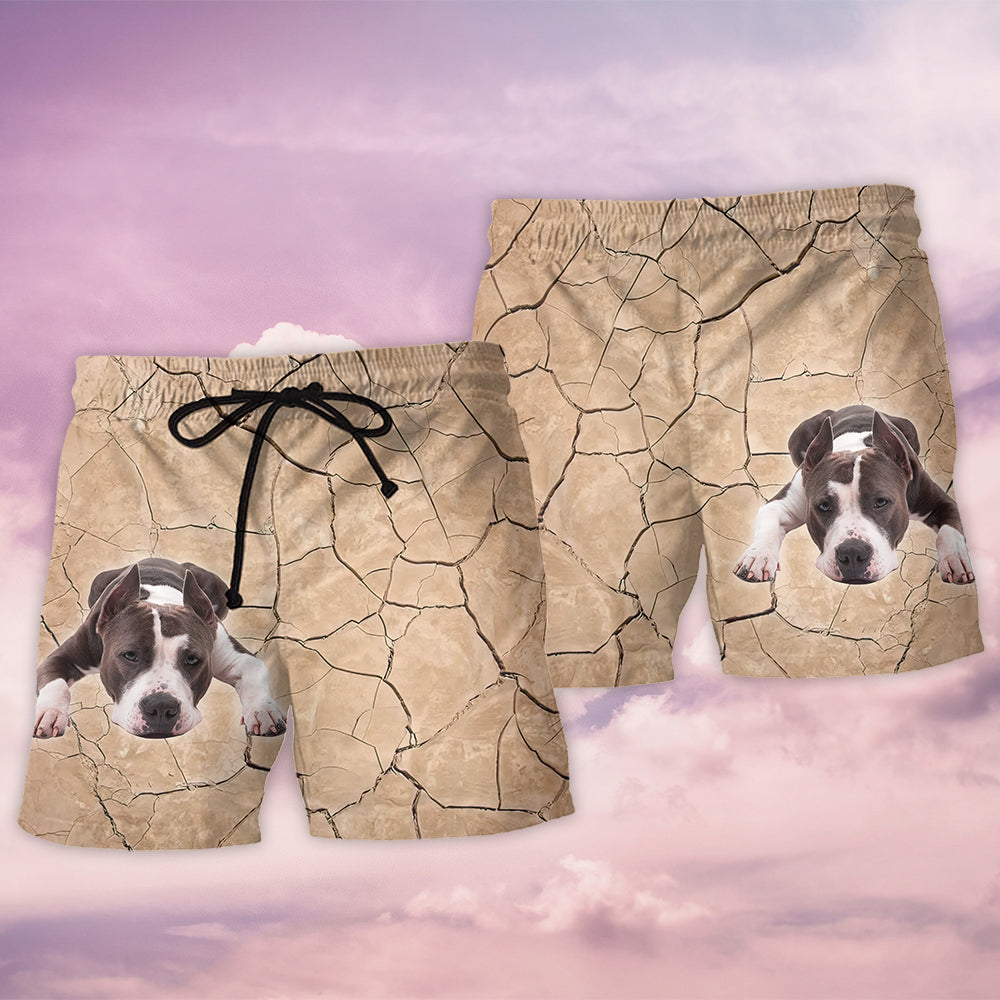 Pitbull Dog Fun Beach Shorts Artwork Detail For Comfortable Everyday Summer Wear