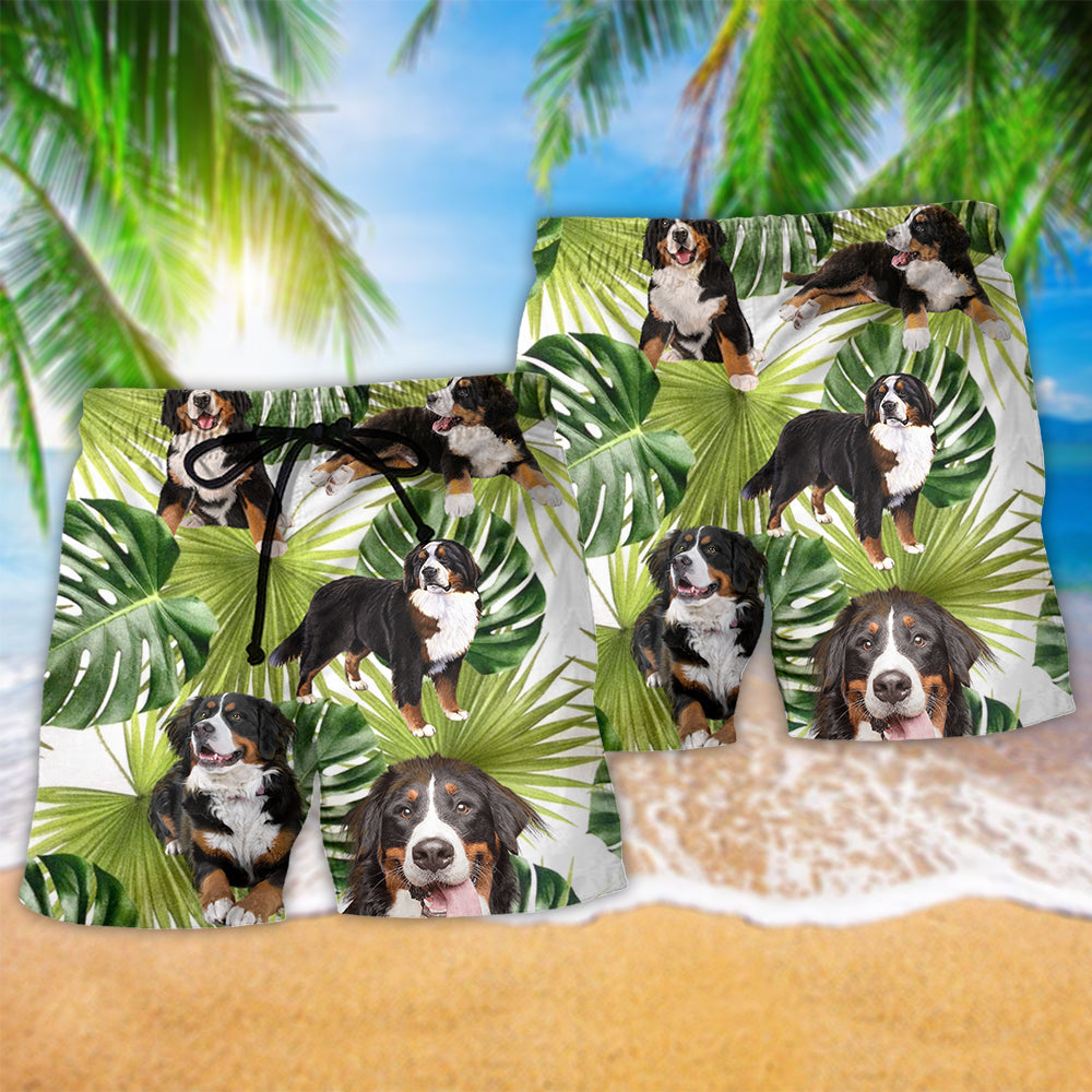 Bernese Mountain Dog Tropical Beach Shorts Graphic Detail For Resort Trips And Casual Outings