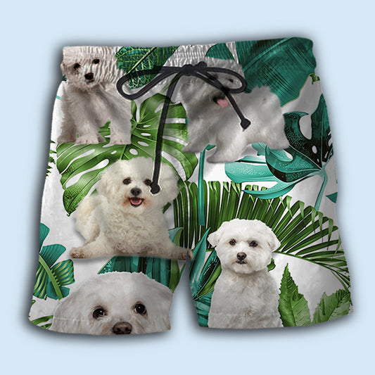 Bichon Frise Tropical Leaf Dog Lover Beach Shorts For Coastal Adventures And Relaxed Summer Wear