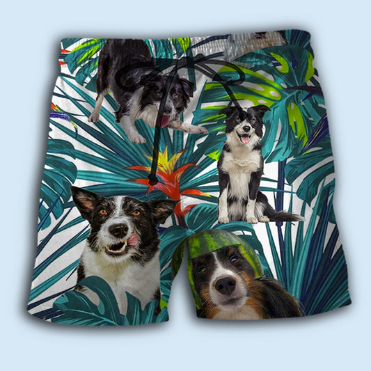 Border Collie Tropical Leaf Dog Lover Beach Shorts For Coastal Adventures And Relaxed Summer Wear