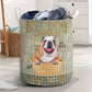 Bulldog Wash And Dry Laundry Basket For Room Home Organizer