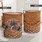 Bully Dog Rattan Texture Laundry Basket For Nursery Dorm And Home Storage