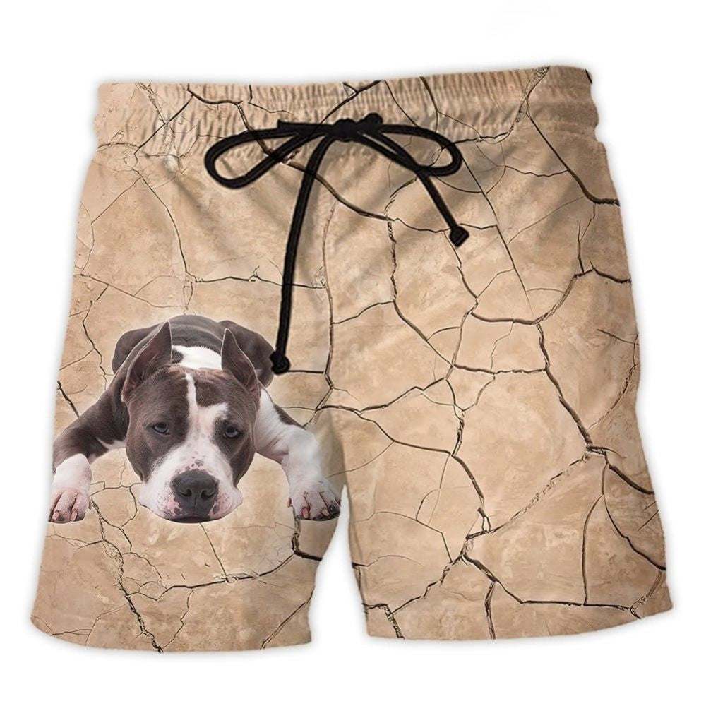 Pitbull Dog Fun Beach Shorts For Beach Trips And Relaxed Vacation Styling