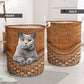 Gray Cat Rattan Texture Laundry Basket For Room Home Organizer