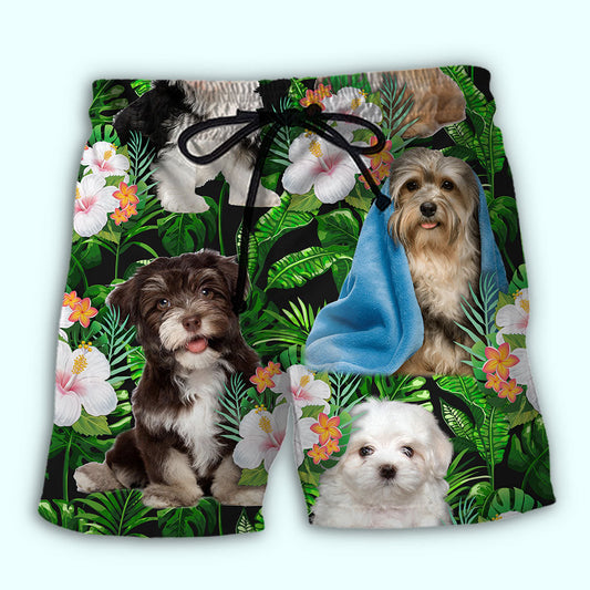 Havanese Tropical Cute Dog Beach Shorts Graphic Detail For Resort Trips And Casual Outings