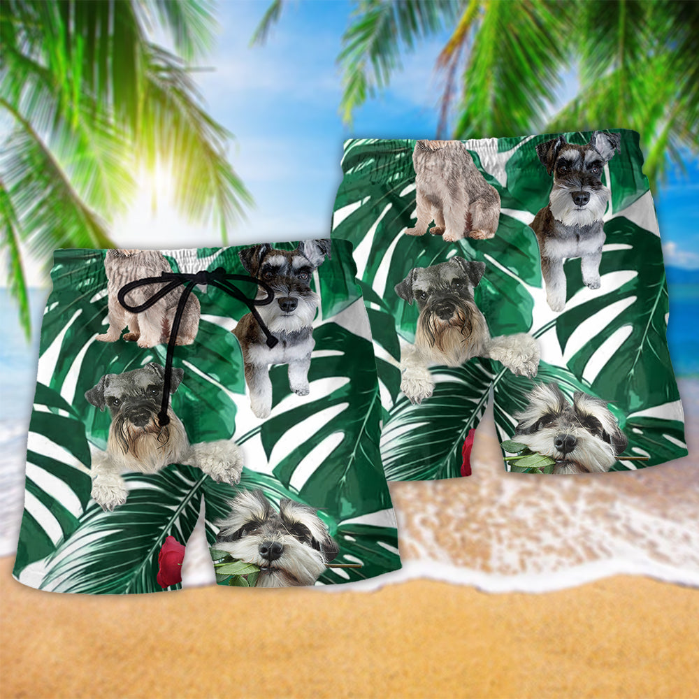 Miniature Schnauzer Tropical Leaf Beach Shorts Pattern View For Coastal Holidays And Casual Activities