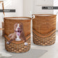 Dog Pitbull Rattan Texture Laundry Basket For Room Home Organizer
