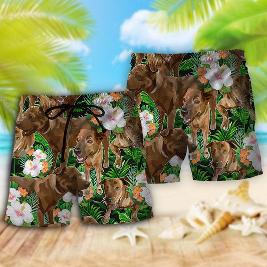 Rhodesian Ridgeback Tropical Floral Dog Beach Shorts Pattern View For Coastal Holidays And Casual Activities