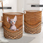 Sphynx Cat Rattan Texture Laundry Basket For Room Home Organizer