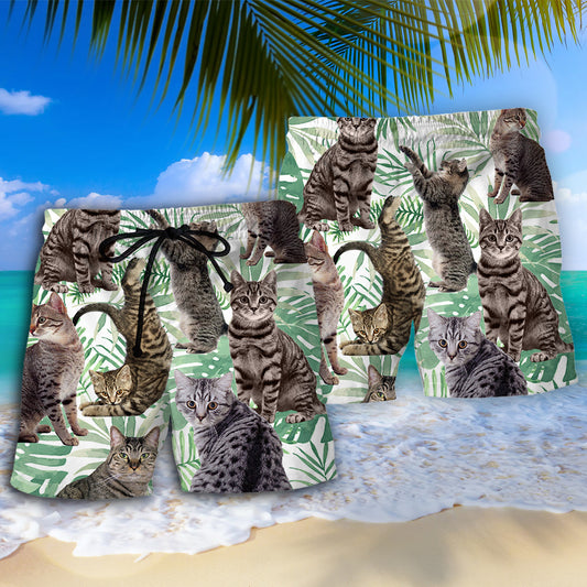 Tabby Cat Tropical Leaf Pattern Beach Shorts For Beach Trips And Relaxed Vacation Styling
