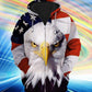 American Eagle Hoodie For Everyday Wear Outdoor Adventures And Comfortable Style