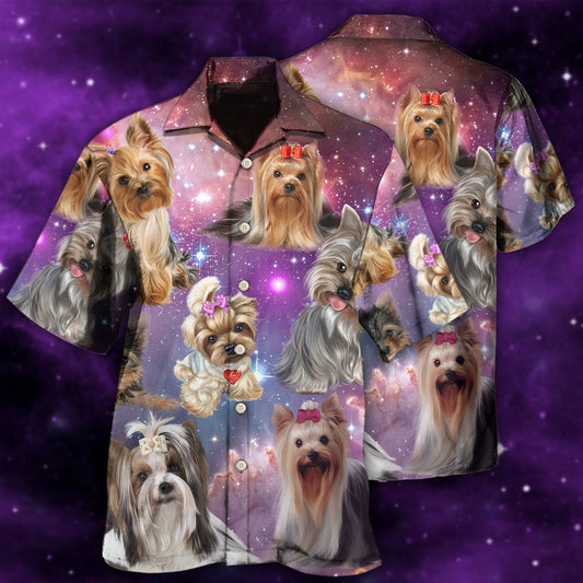 Yorkshire Terrier Mysterious Beach Shorts For Warm Weather Travel And Everyday Comfort