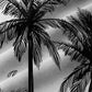Hawaiian Grey Coconut Tree Print Chest Bag Holiday Shirt Plus Hawaiian Shirt